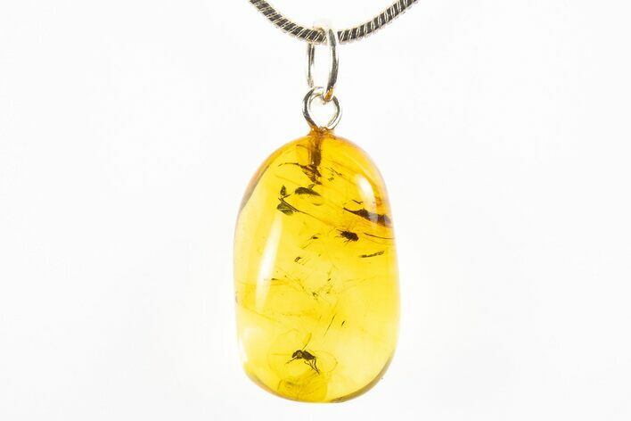 Polished Baltic Amber Pendant (Necklace) - Contains Flies! #312222